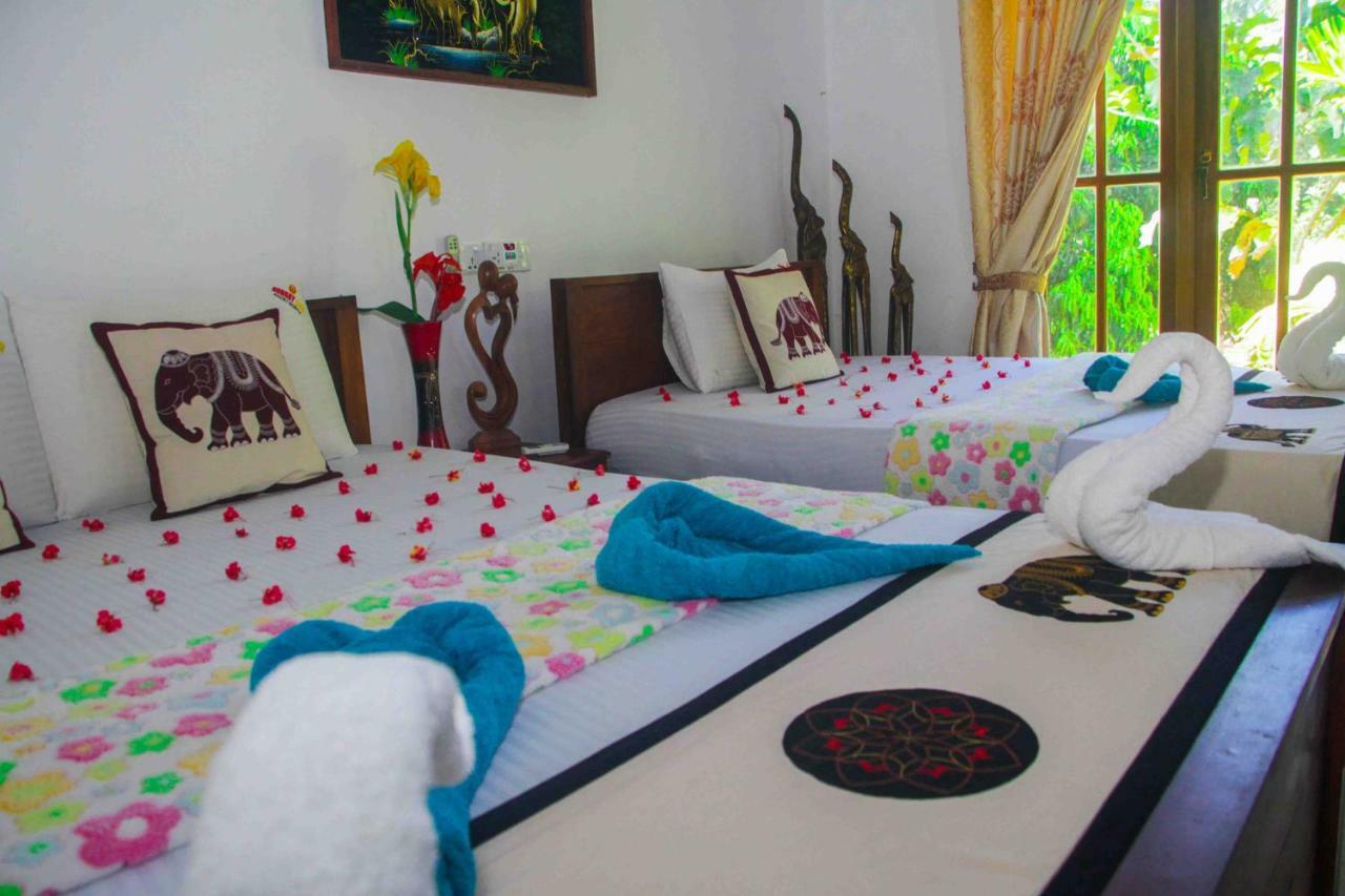 Hungry Lion Resort Сігірія Екстер'єр фото